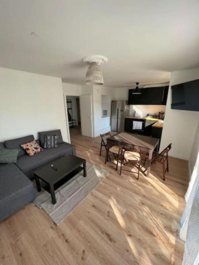 Beautiful flat (metro 8) 10min to paris city center